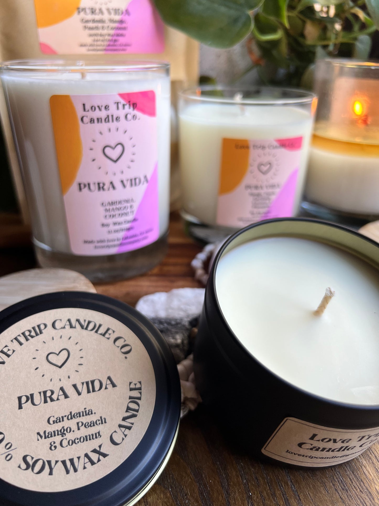 Pura Vida Soy Candle Mango/Coconut/Gardenia/Peach