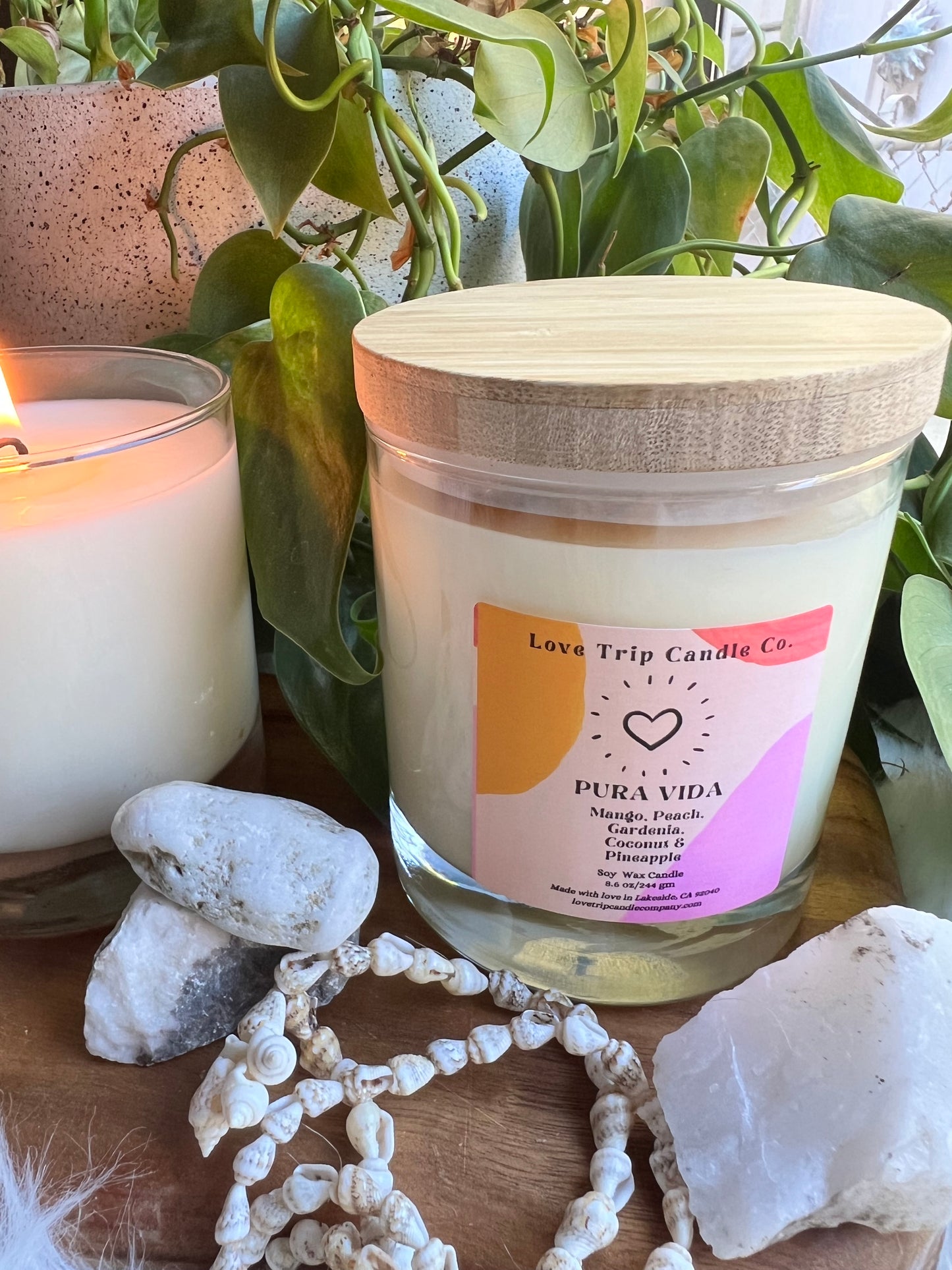 Pura Vida Soy Candle Mango/Coconut/Gardenia/Peach