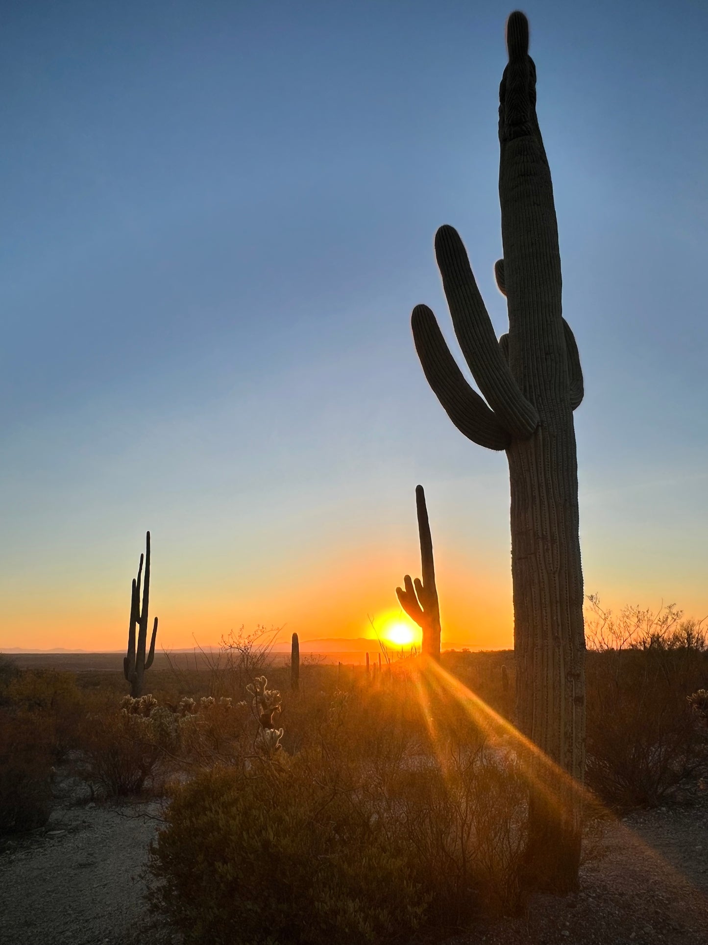 Saguaro Hwy Soy Candle Agave/Orange/Patch, Sea Salt