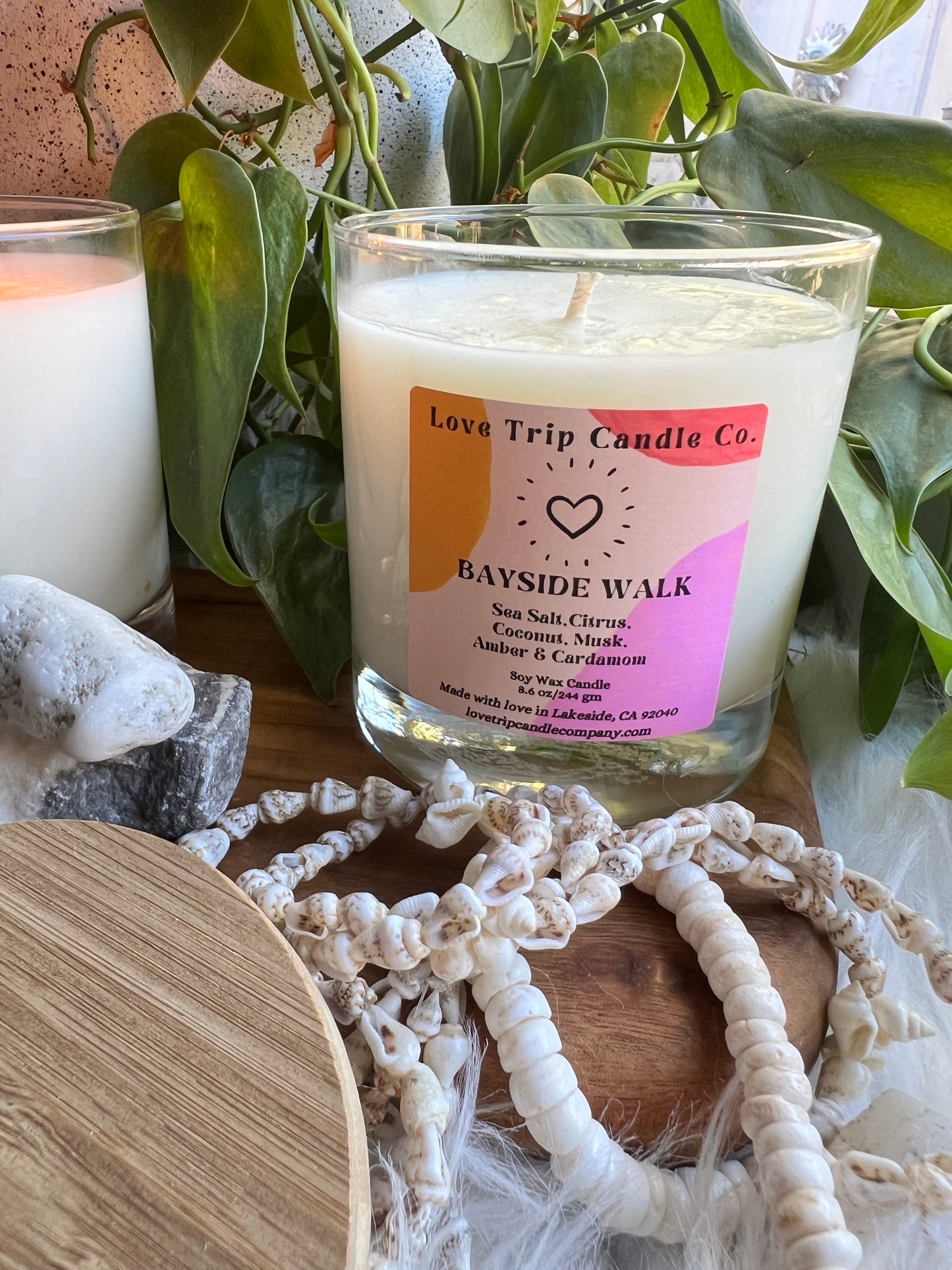 Bayside Walk Soy Candle Sea/Coconut/Cardamom