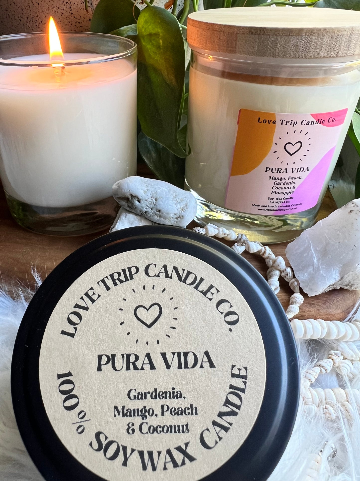 Pura Vida Soy Candle Mango/Coconut/Gardenia/Peach