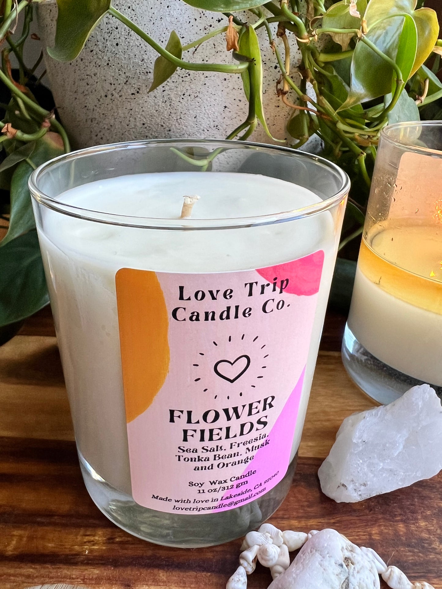 Flower Fields Soy Candle Sea Salt/Freesia/Orange